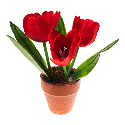 Flower Shop Website